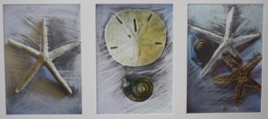 Mixed Media  SOLD